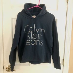 Calvin Klein Hooded Sweatshirt / Blue Large